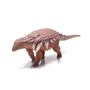化石　恐竜　超大型　ノドサウルス類・エドモントニアの歯 福井県立恐竜博物館 on X: 